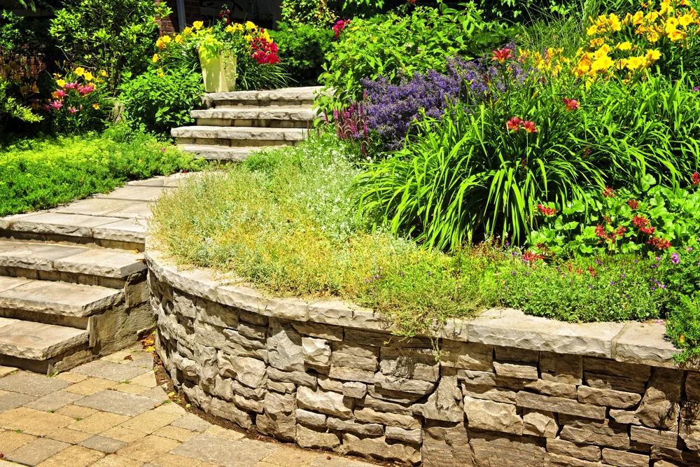 Jardin paysager extérieur avec pelouse verte parfaitement entretenue, massifs de plantes ornementales aux feuillages colorés rouge, violet et vert