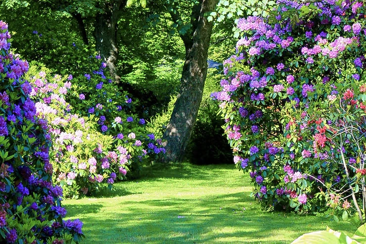 Photographie d'un professionnel paysagiste travaillant sur un ordinateur de bureau haut de gamme affichant un plan 3D détaillé d'un jardin aménagé avec terrasse, piscine et végétation. L'écran est le point focal, montrant clairement une visualisation 3D professionnelle du projet. Le professionnel est assis à son poste de travail dans un bureau moderne et épuré. En arrière-plan flou, on peut entrevoir des matériaux ou références d'aménagement extérieur (pierre, plantes). La scène doit transmettre l'expertise technique et la professionnalité du service de conception 3D proposé par LB Paysages.